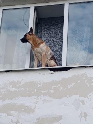 Анатолий Ланских