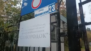 Фотография Самородок 0